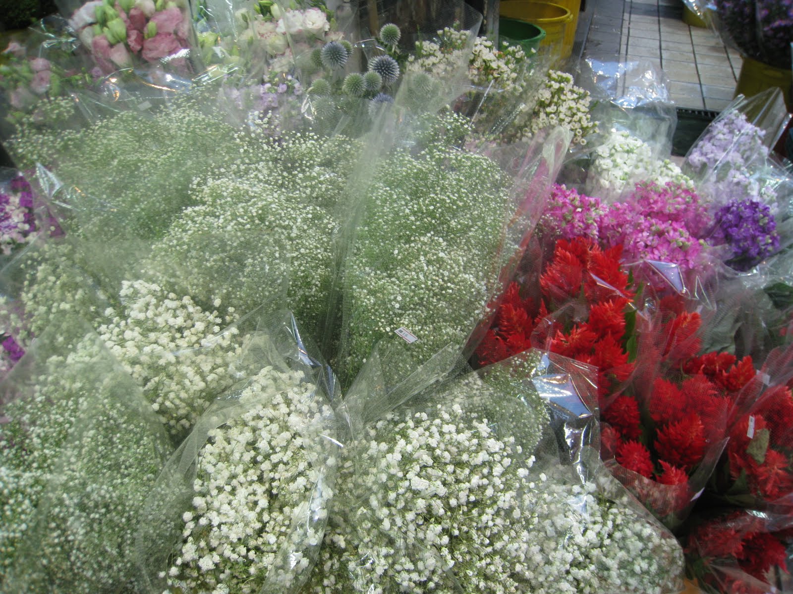 Booking bunga bunga cinta di petaling street 